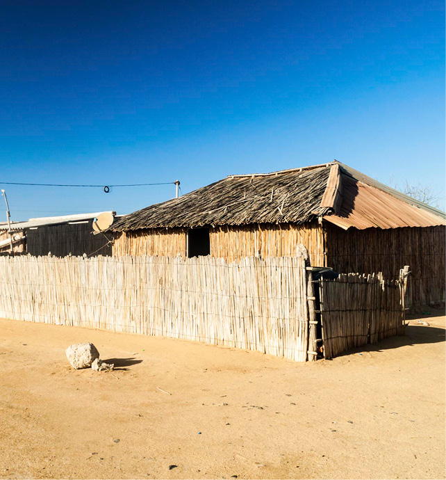 straw thatched houses and fence in a village with a dirt road