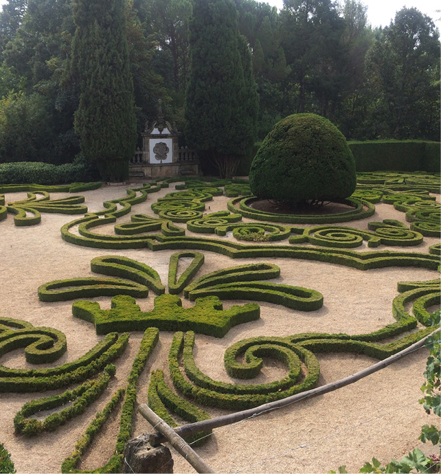 a garden with a bush in the shape of a crown