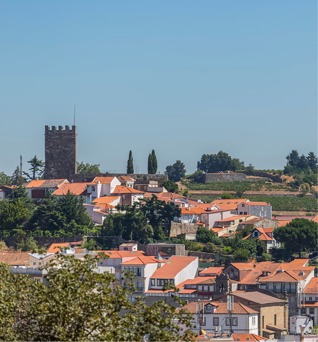 a group of houses with red roofs