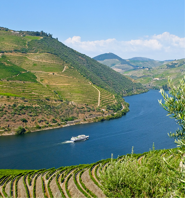 Douro Valley Vineyard, Portugal