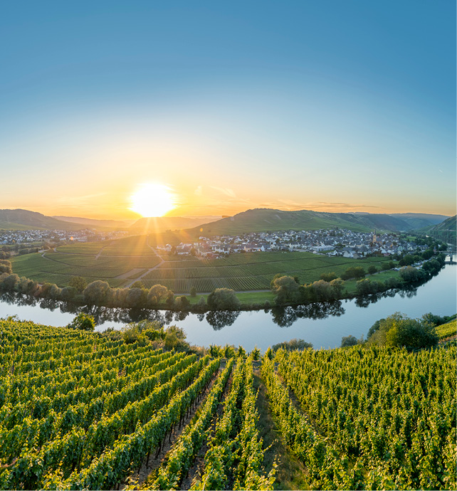 Aerial view of a winery next to the Moselle river with the sun on the horizon 