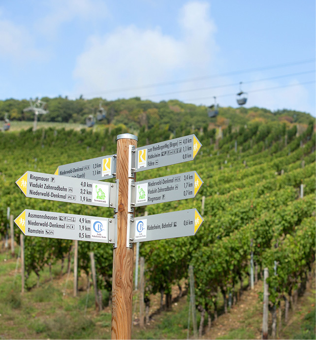 Direction signs in front of a vineyard in Rüdesheim, Germany 