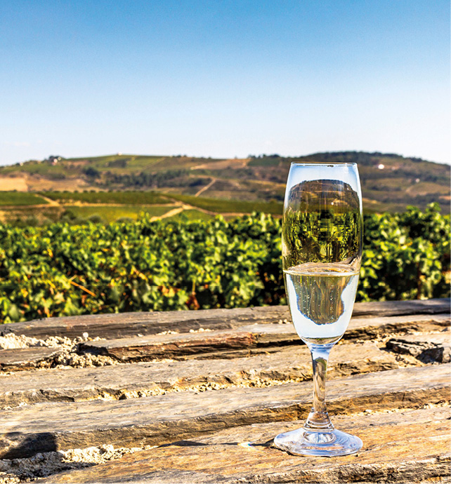 Glass of white wine on a bench over looking the vineyards in Trittenheim, Germany 