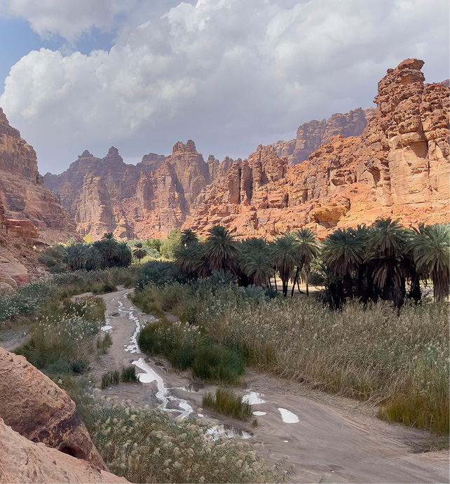 The Wadi Al Disah Canyon with red rock structures surrounding green foliage 