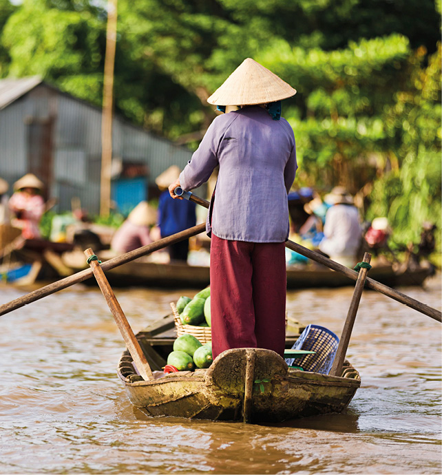 Mekong Delta floating market