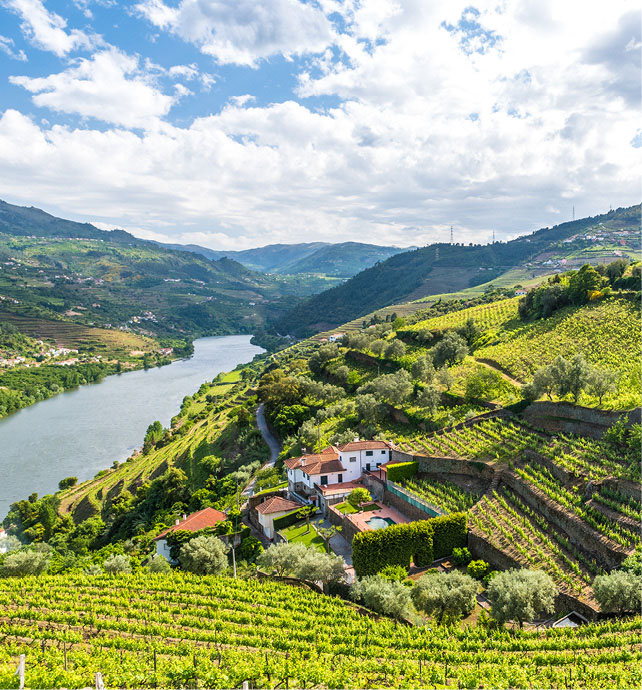 Vineyards and settlements along the Douro River, near Régua, Portugal