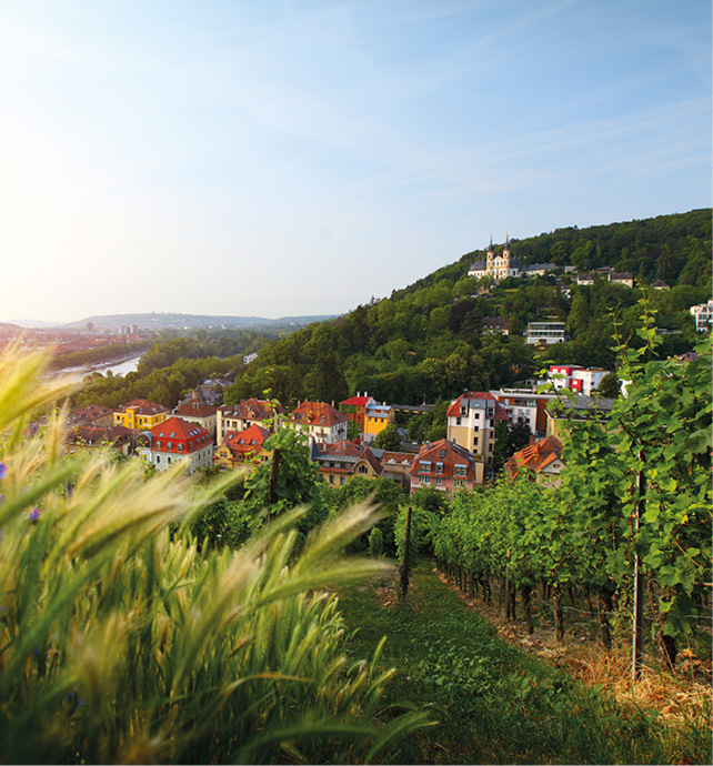 A sunset view over the fields of Würzburg, Germany