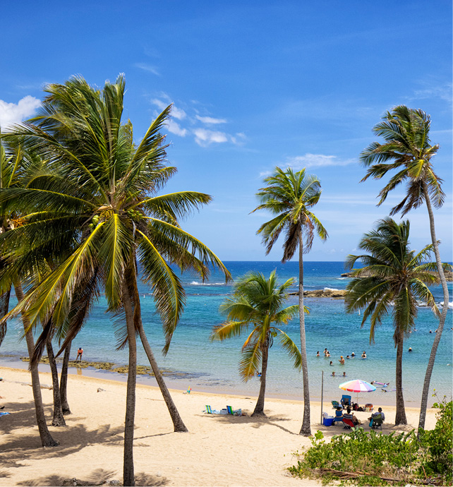 Palm trees on the sandy beach, blowing in the breeze, with blue sea waves, and lightly clouded blue sky